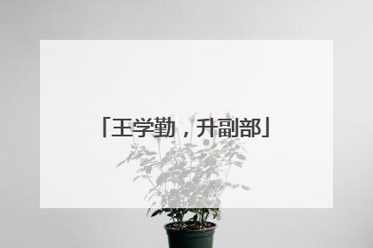王学勤，升副部
