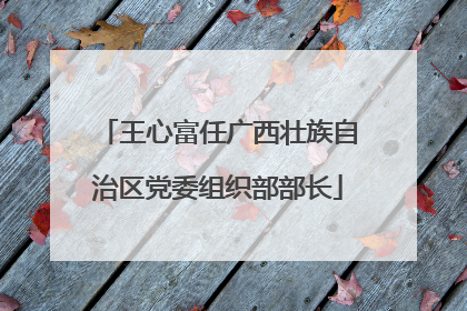王心富任广西壮族自治区党委组织部部长