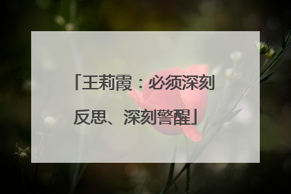 王莉霞：必须深刻反思、深刻警醒