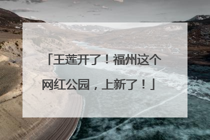 王莲开了！福州这个网红公园，上新了！