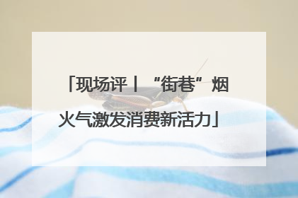 现场评丨“街巷”烟火气激发消费新活力