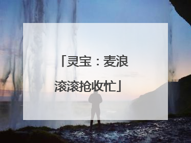 灵宝：麦浪滚滚抢收忙