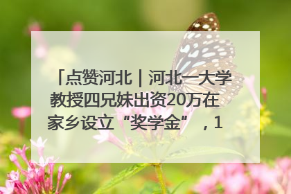 点赞河北｜河北一大学教授四兄妹出资20万在家乡设立“奖学金”，13年为320名农村学生种下“希望的种子”