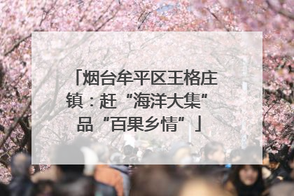 烟台牟平区王格庄镇：赶“海洋大集” 品“百果乡情”