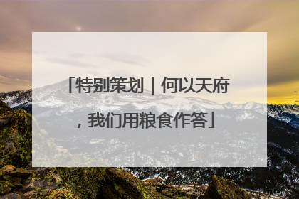 特别策划｜何以天府，我们用粮食作答