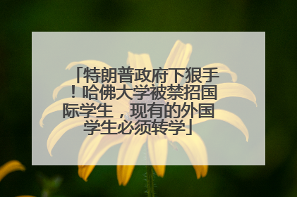 特朗普政府下狠手！哈佛大学被禁招国际学生，现有的外国学生必须转学