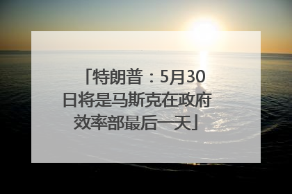 特朗普：5月30日将是马斯克在政府效率部最后一天