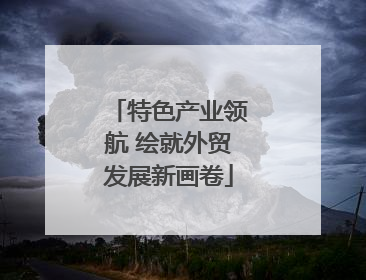 特色产业领航 绘就外贸发展新画卷