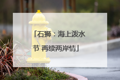 石狮：海上泼水节 再续两岸情