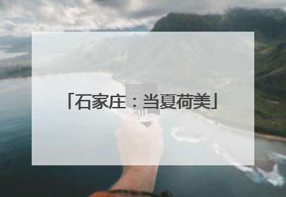 石家庄：当夏荷美