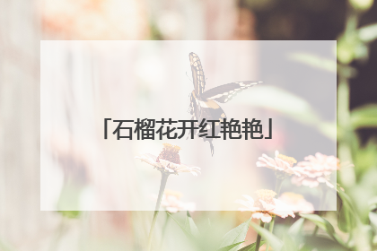 石榴花开红艳艳