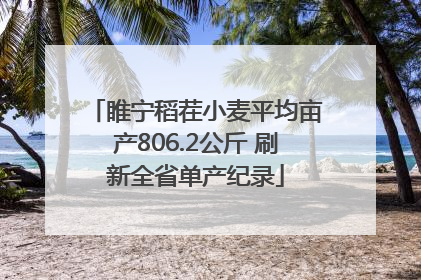 睢宁稻茬小麦平均亩产806.2公斤 刷新全省单产纪录