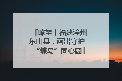 瞭望｜福建漳州东山县，画出守护“蝶岛”同心圆