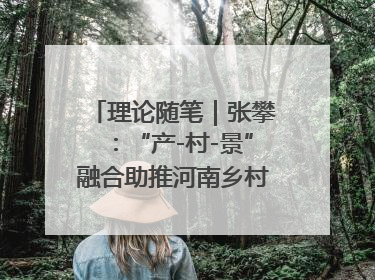 理论随笔｜张攀：“产-村-景”融合助推河南乡村振兴建设