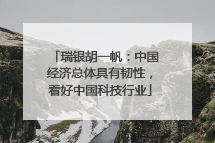 瑞银胡一帆：中国经济总体具有韧性，看好中国科技行业
