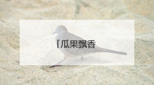 瓜果飘香 好“丰”景