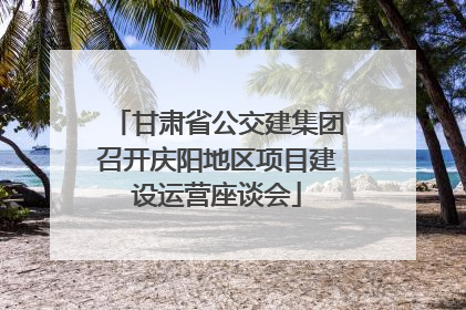 甘肃省公交建集团召开庆阳地区项目建设运营座谈会