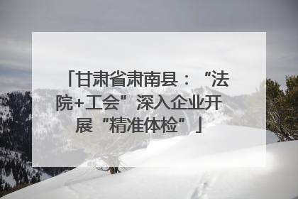 甘肃省肃南县：“法院+工会”深入企业开展“精准体检”