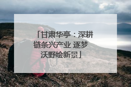 甘肃华亭：深耕链条兴产业 逐梦沃野绘新景