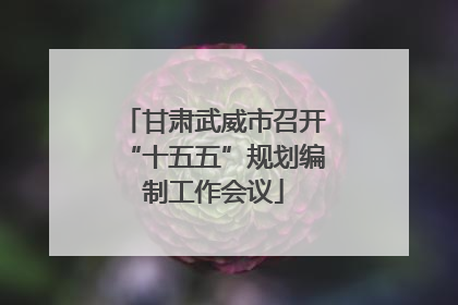 甘肃武威市召开“十五五”规划编制工作会议