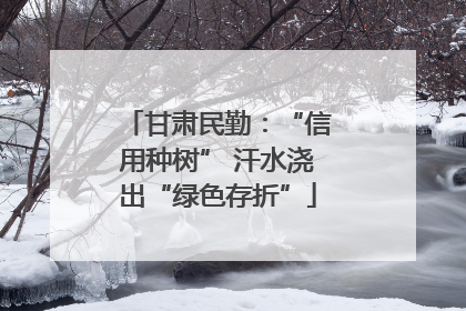 甘肃民勤：“信用种树” 汗水浇出“绿色存折”