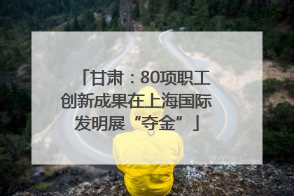 甘肃：80项职工创新成果在上海国际发明展“夺金”