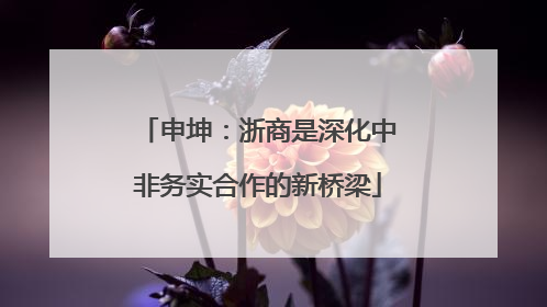 申坤：浙商是深化中非务实合作的新桥梁