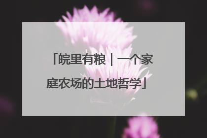 皖里有粮｜一个家庭农场的土地哲学