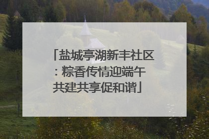 盐城亭湖新丰社区：粽香传情迎端午 共建共享促和谐