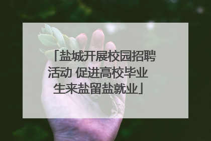 盐城开展校园招聘活动 促进高校毕业生来盐留盐就业