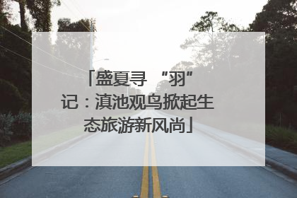 盛夏寻 “羽” 记：滇池观鸟掀起生态旅游新风尚
