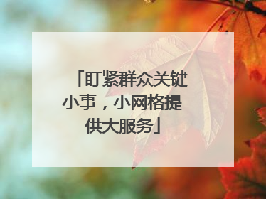 盯紧群众关键小事，小网格提供大服务