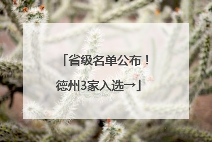 省级名单公布！德州3家入选→