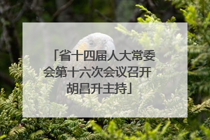 省十四届人大常委会第十六次会议召开 胡昌升主持