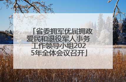 省委拥军优属拥政爱民和退役军人事务工作领导小组2025年全体会议召开