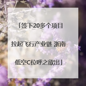 签下20多个项目 拉起飞行产业链 浙南低空C位呼之欲出