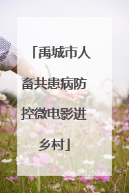 禹城市人畜共患病防控微电影进乡村