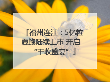 福州连江：5亿粒夏鲍陆续上市 开启“丰收盛宴”