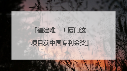 福建唯一！厦门这一项目获中国专利金奖