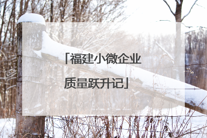 福建小微企业质量跃升记