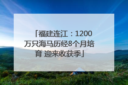 福建连江：1200万只海马历经8个月培育 迎来收获季