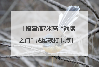 福建馆7米高“简牍之门”成爆款打卡点