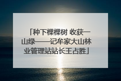 种下棵棵树 收获一山绿——记牟家大山林业管理站站长王占胜