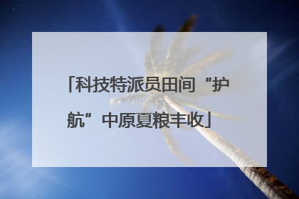 科技特派员田间“护航”中原夏粮丰收