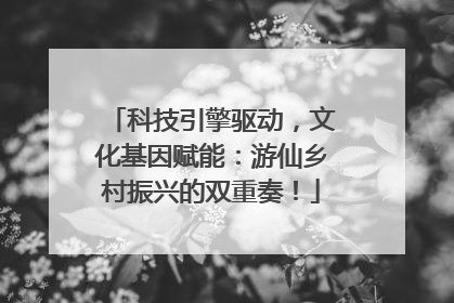 科技引擎驱动，文化基因赋能：游仙乡村振兴的双重奏！