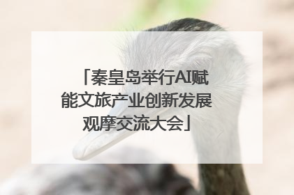 秦皇岛举行AI赋能文旅产业创新发展观摩交流大会