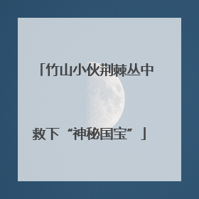 竹山小伙荆棘丛中救下“神秘国宝”