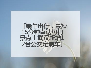 端午出行，最短15分钟直达热门景点！武汉新增12台公交定制车