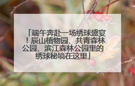 端午奔赴一场绣球盛宴！辰山植物园、共青森林公园、滨江森林公园里的绣球秘境在这里