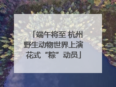 端午将至 杭州野生动物世界上演花式“粽”动员